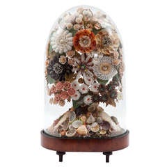 Arrangement of shells