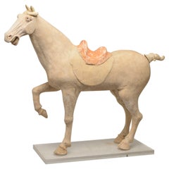 Painted Pottery Figure of a Prancing Horse, Tang Dynasty