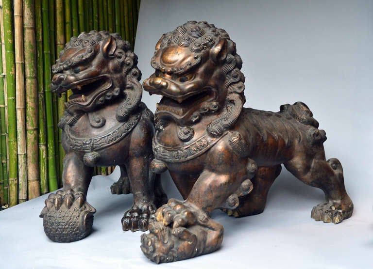 Asian A Large Pair Of Gilt-lacquered Bronze Figures Of Foo Lions, 19th Century
