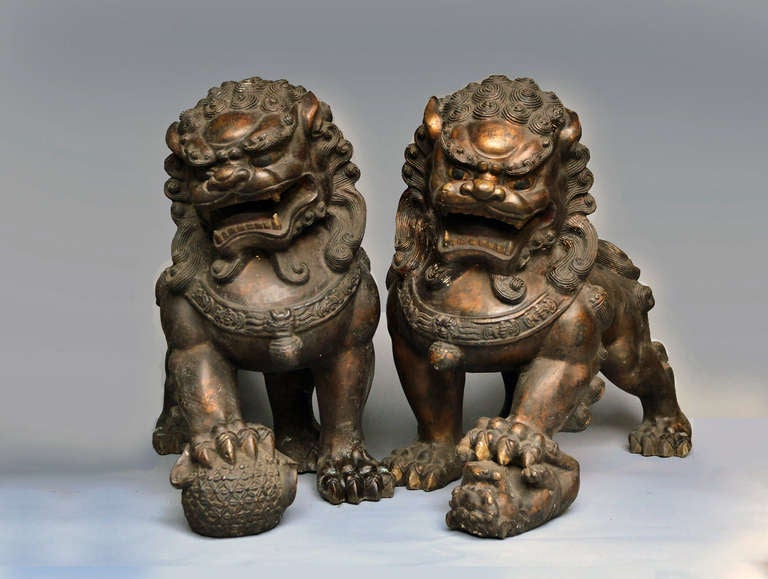 impressive large pair of gilt-lacquered bronze figures of the buddhist foo lions ,the large head with open jaws, large eyes and curly eyebrows, framed by a tightly curled mane, the male with a brocade ball under his right paw, and the female with a