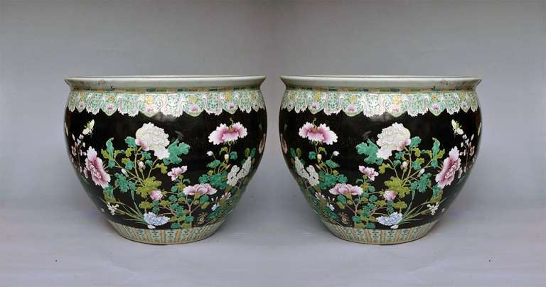 Black ground famille rose porcelain jardinieres with flower blossom decorations.