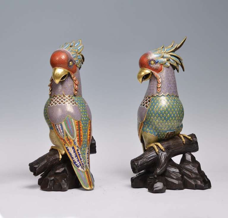 A Pair Of Cloisonne Enamel Parrot , ca 1930