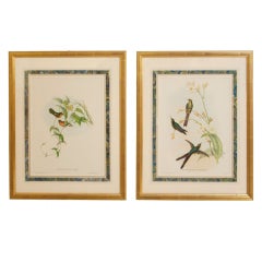 Vintage Pair of Bird Prints