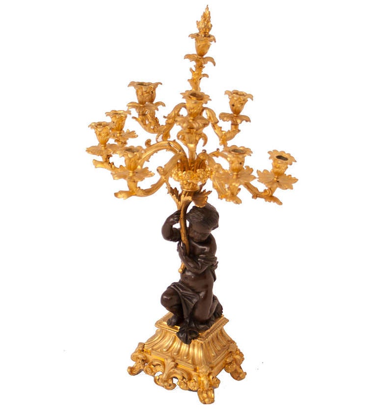 French Bronze 10-Light Candelabra