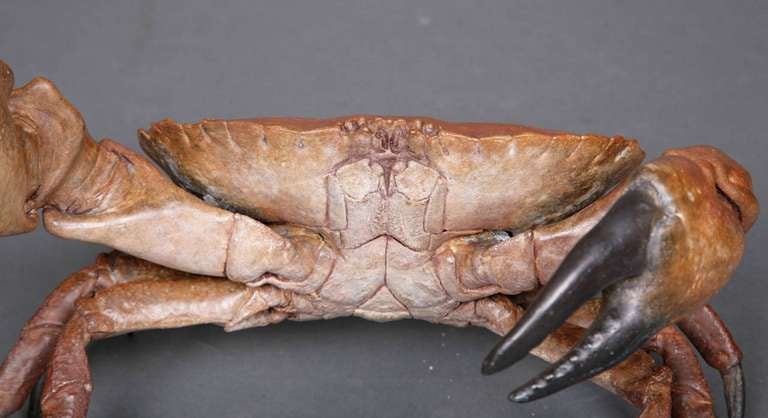 Large Bronze Crab by Amanda & Björn Sjöling