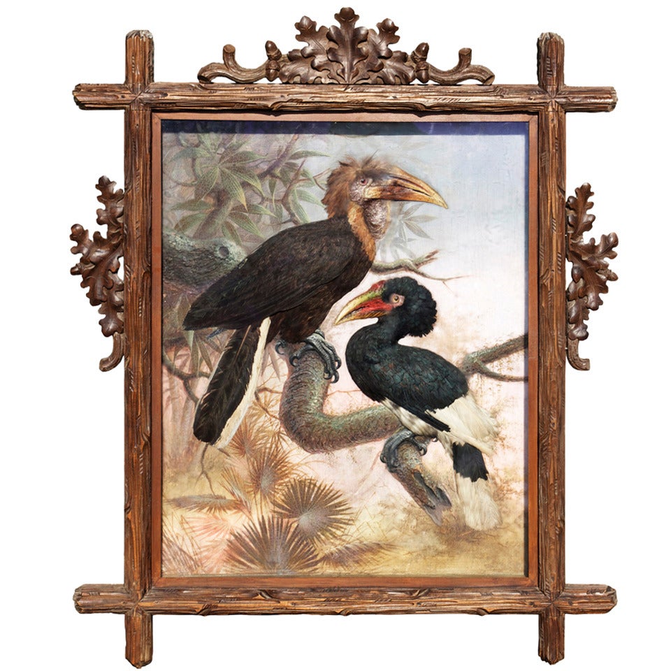 A Pair of Taxidermy Bird Reliefs For Sale