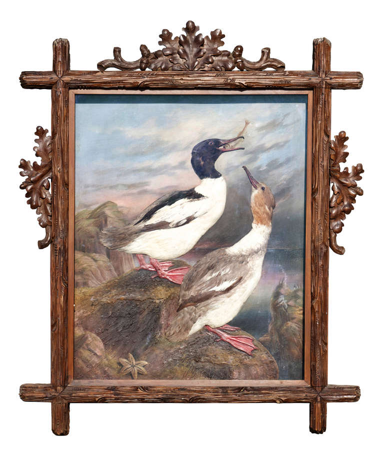 German A Pair of Taxidermy Bird Reliefs For Sale