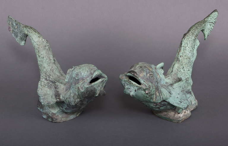 A pair of cast bronze dolphins, originally fitted to a fountain, in the Florentine Cinquecento style.

These dolphins were formerly in the collection of Canon H. D. Rawnsley, who purchased them in Florence, circa 1900. Rawnsley co-founded the