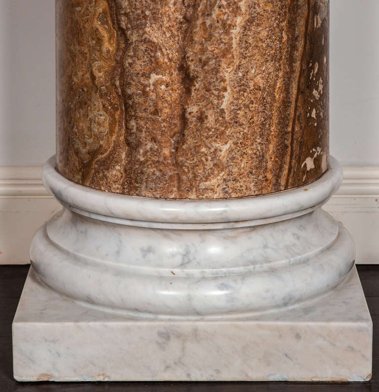 Rare Pair of Grand Tour Columns, circa 1800 In Excellent Condition For Sale In London, GB