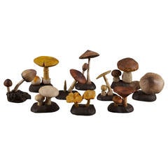 Rubber Models, Group of Mushrooms, France, circa 1960