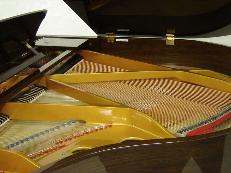 Chinese Steinbach Baby Grand Piano 148cm Walnut 