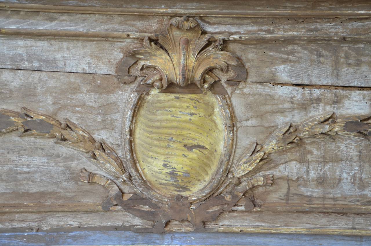 Carved 18th century Boiserie Panel Fragment
