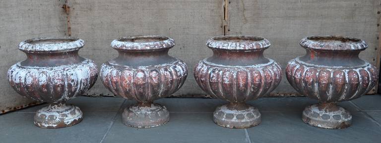 Set of Four 19th Century French Cast Iron Urns In Excellent Condition In Charleston, SC