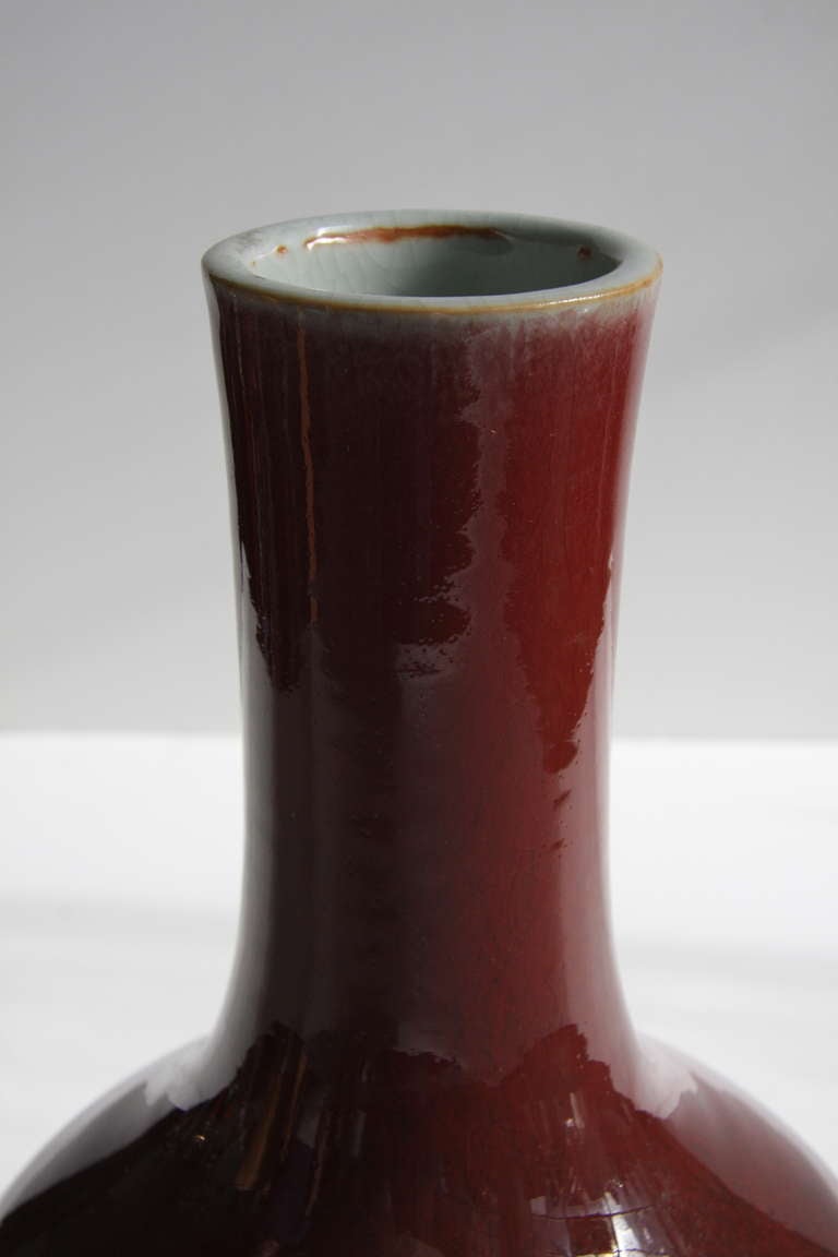 19th Century Antique Chinese Oxblood Porcelain Vase For Sale 3