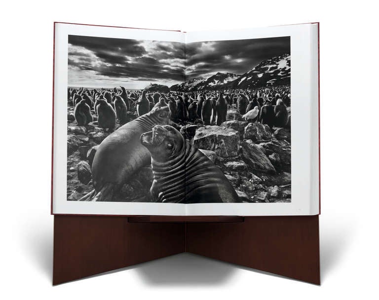 Contemporary Sebastião Salgado: GENESIS, Art Edition C For Sale