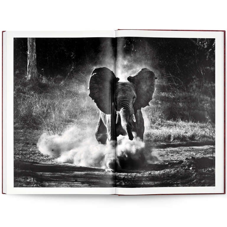 Sebastião Salgado: GENESIS, Art Edition A For Sale 4