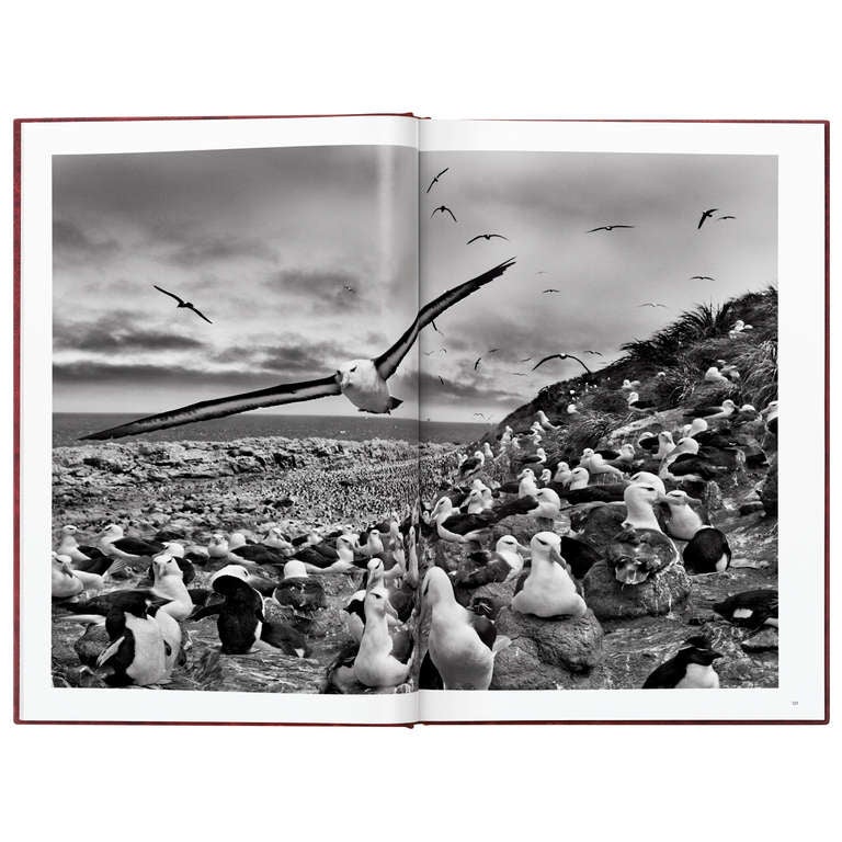 Sebastião Salgado: GENESIS, Art Edition A For Sale 3