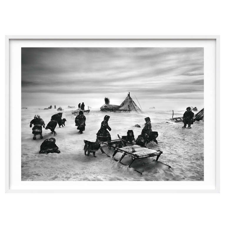 Salgado’s masterpiece: 
GENESIS — Earth eternal
A photographic homage to our planet in its natural state

Art Edition B (No. 101-200)
North of the Ob River, Yamal Peninsula, Siberia, Russia, 2011
Gelatin silver print
30 x 40 cm (12 x 16