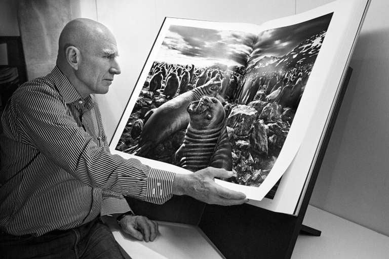 Sebastião Salgado: GENESIS, Art Edition B For Sale 5