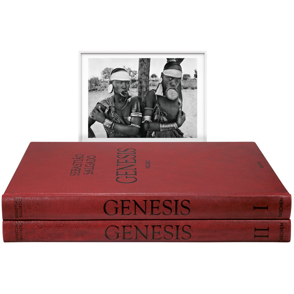 Sebastião Salgado: GENESIS, Art Edition A For Sale