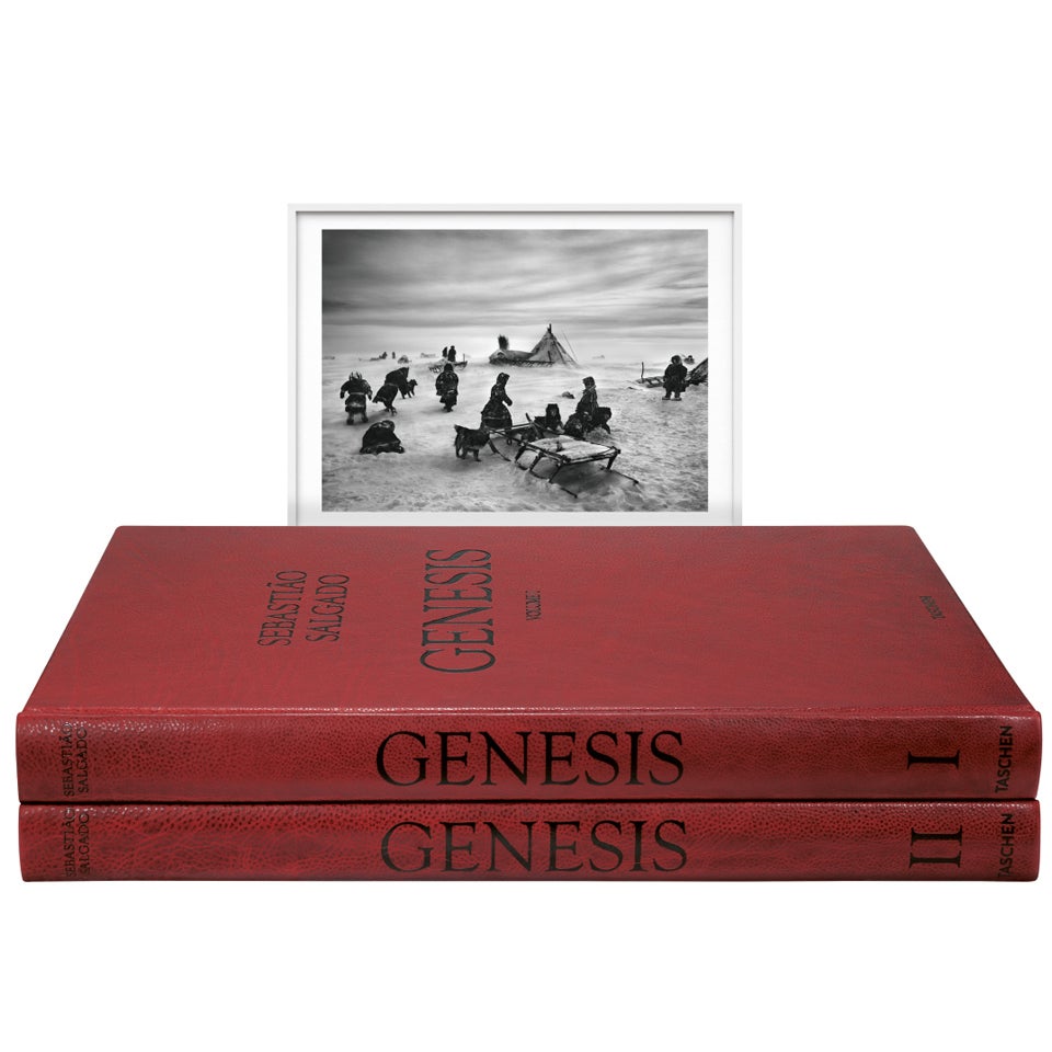 Sebastião Salgado: GENESIS, Art Edition B For Sale