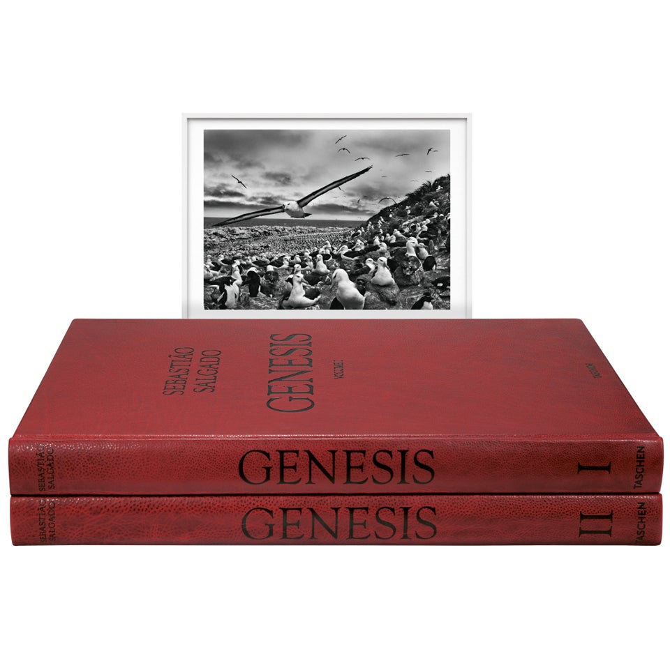 Sebastião Salgado: GENESIS, Art Edition C For Sale