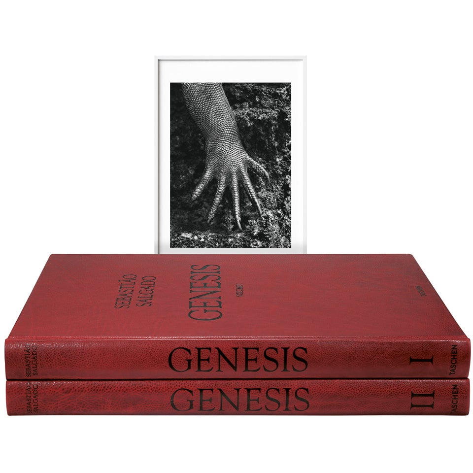 Sebastião Salgado: GENESIS, Art Edition D For Sale