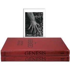 Used Sebastião Salgado: GENESIS, Art Edition D