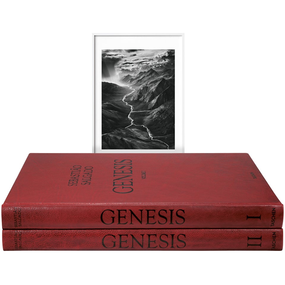 Sebastião Salgado: GENESIS, Art Edition E