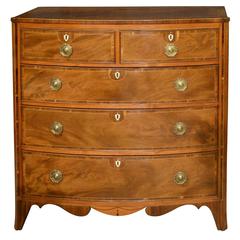 Regency Mahogany Bowfront Chest of Drawers