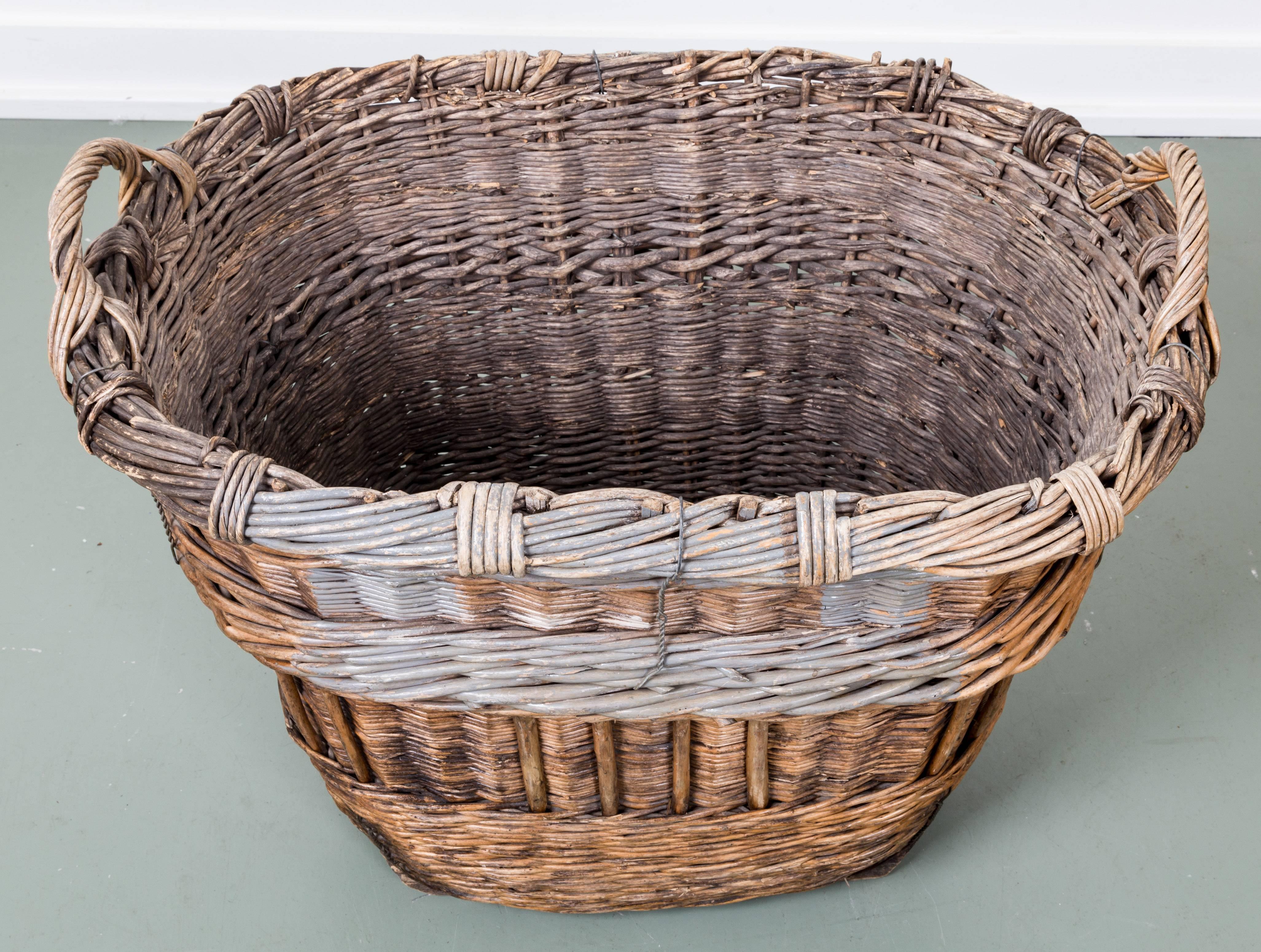 Early 20th Century French Wicker Champagne Harvest Basket In Good Condition In Southampton, NY