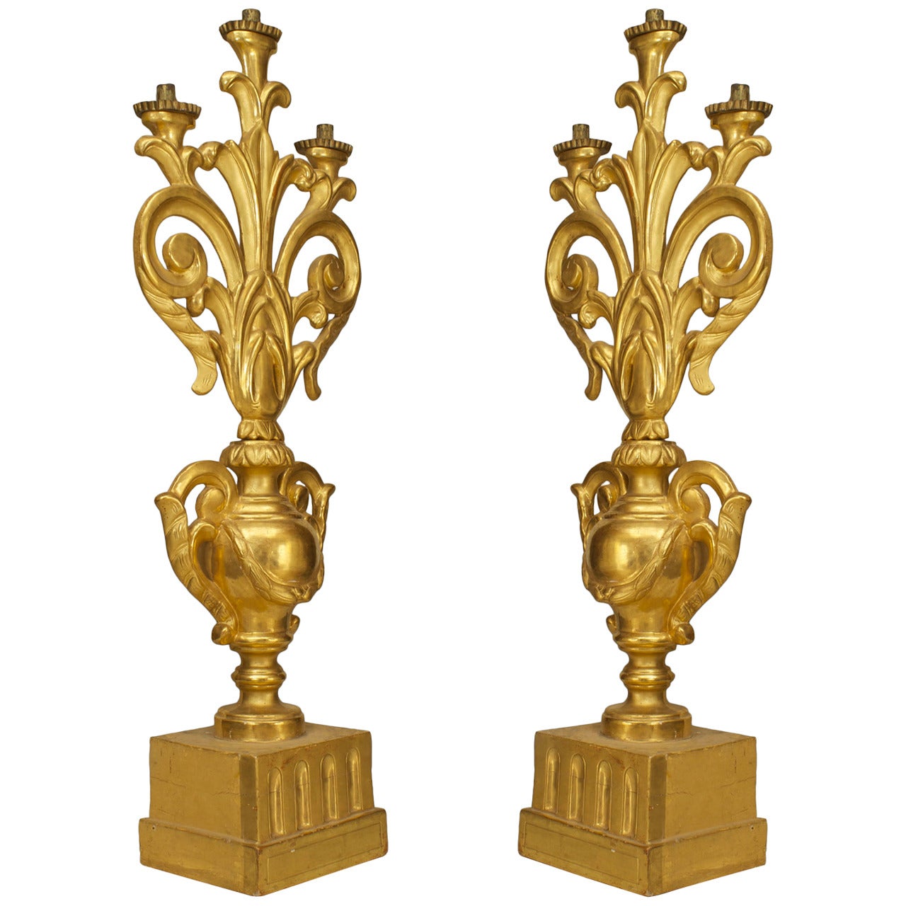 A Fine Pair of Italian Rococo Gilt Wood Candelabras For Sale
