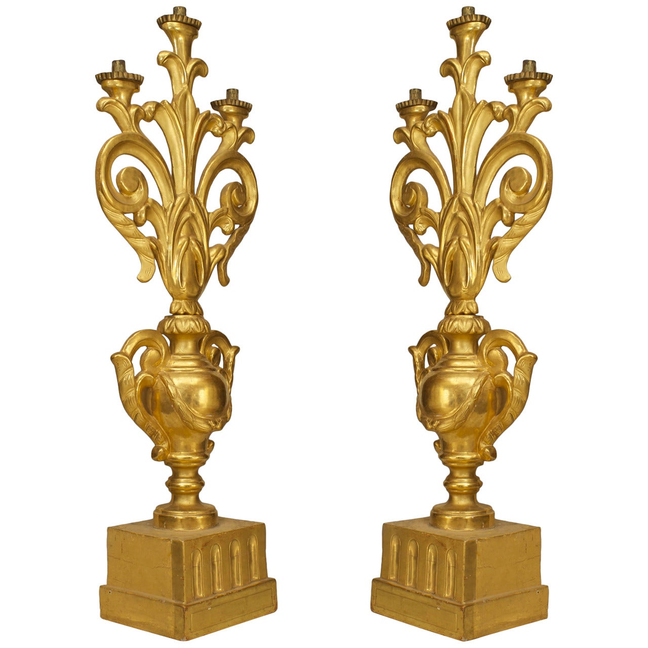 A Fine Pair of Italian Rococo Gilt Wood Candelabras