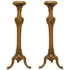 Antique Pair of Louis XV Style Gilt Pedestals