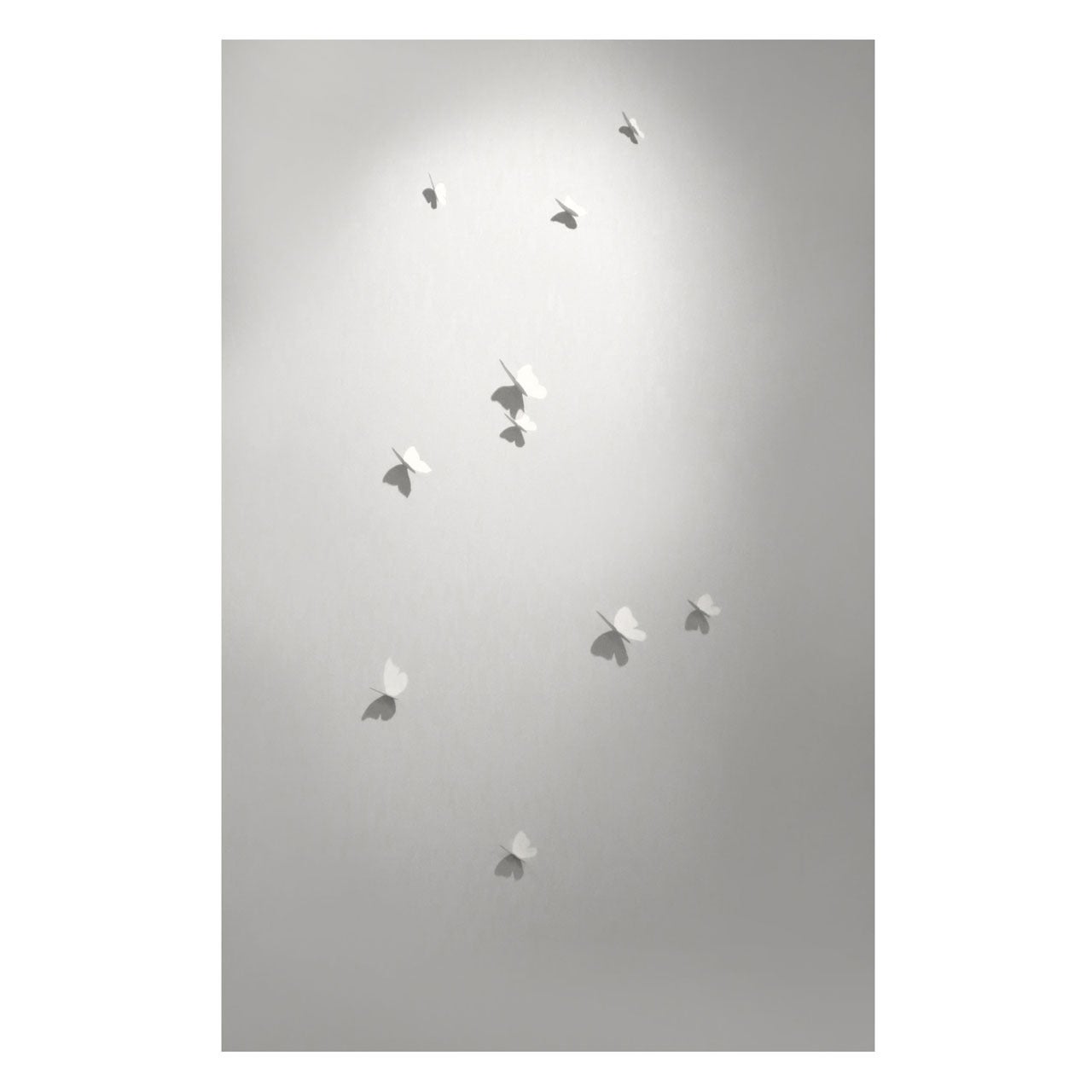 Barnaby Hosking
s "Thoughts (Butterflies), " 2013-14