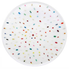 Contemporary American Mixed-Media Work Titled "Pill Circle XL" by Ray Geary