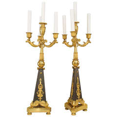 Pair of 19th c. French Empire Style Electrified Candelabra 2