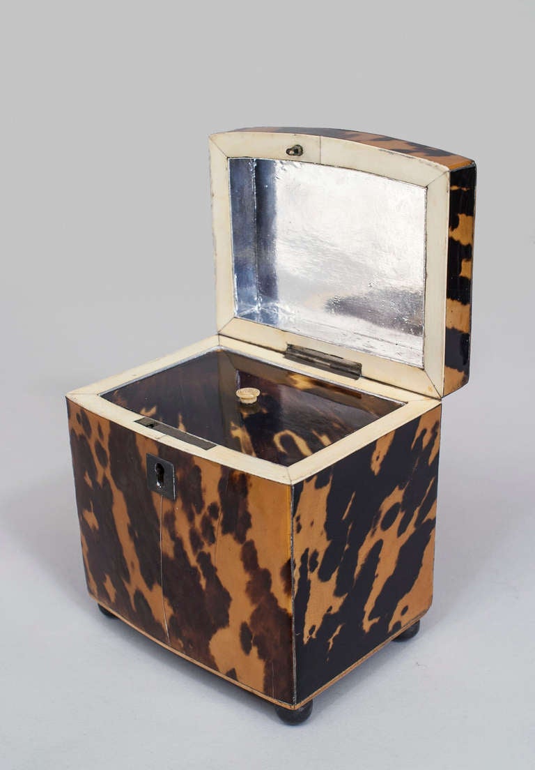 19th c. English Tortoise Shell Box In Excellent Condition In Queens, NY