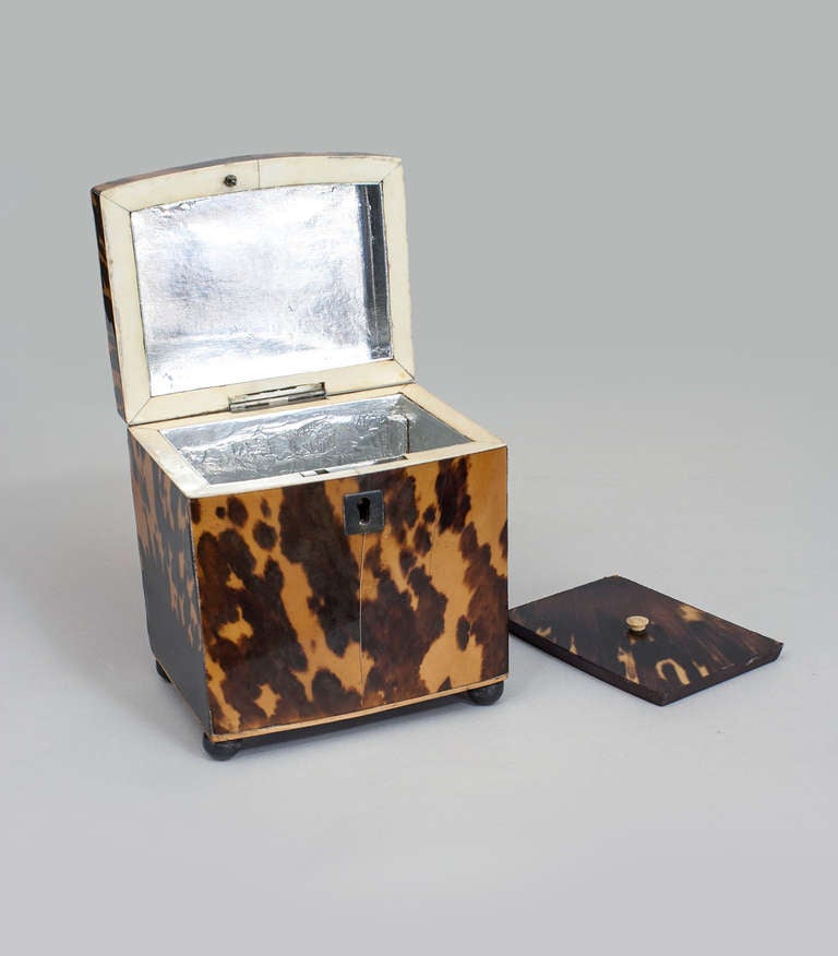 19th Century 19th c. English Tortoise Shell Box