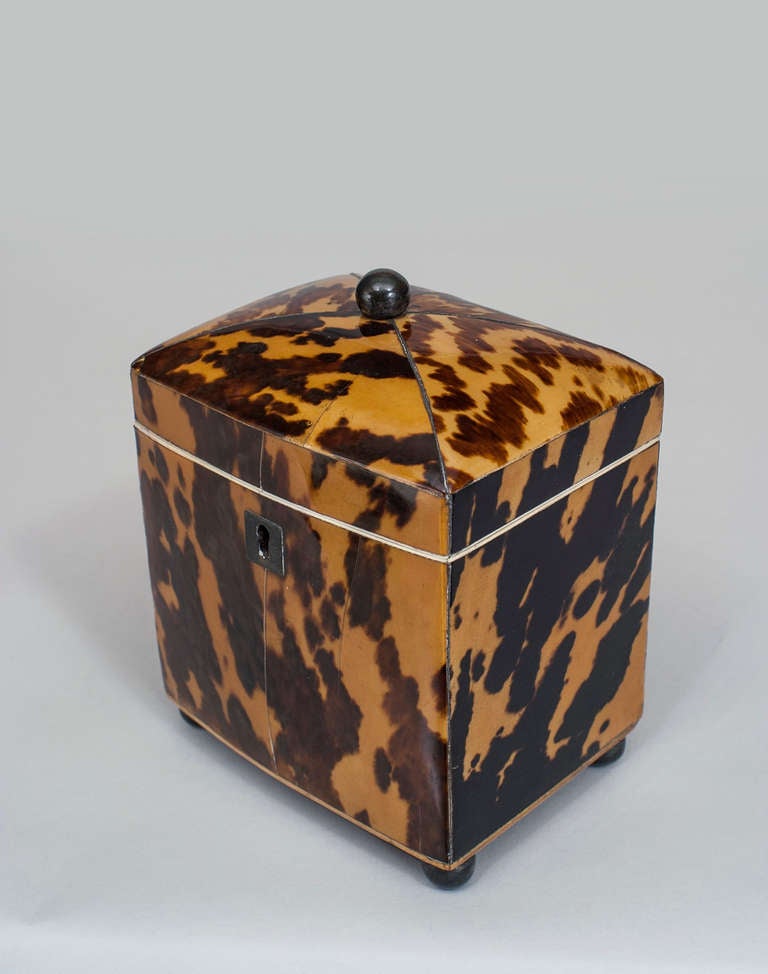 19th century English box composed of bone-trimmed tortoise shell and featuring a silver ball finial and four ball legs.