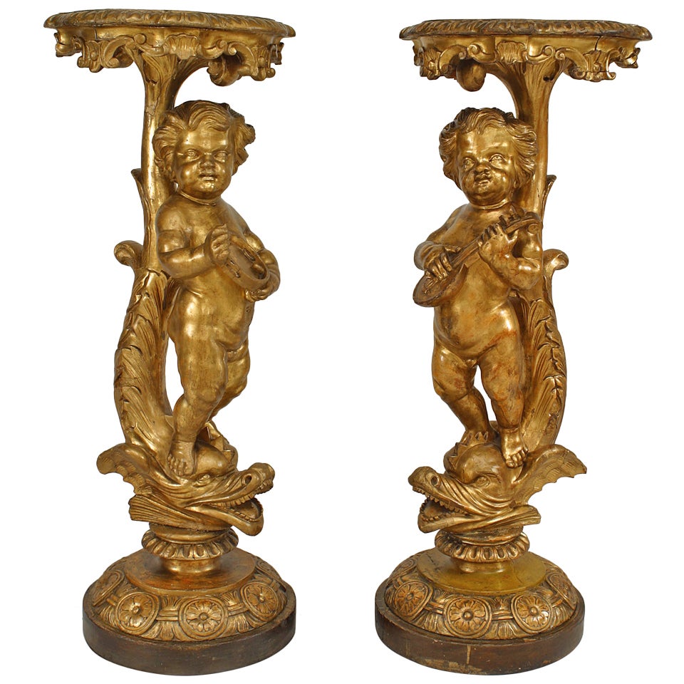 Paar vergoldete Cherub-Sockel aus der Zeit Ludwigs XV.