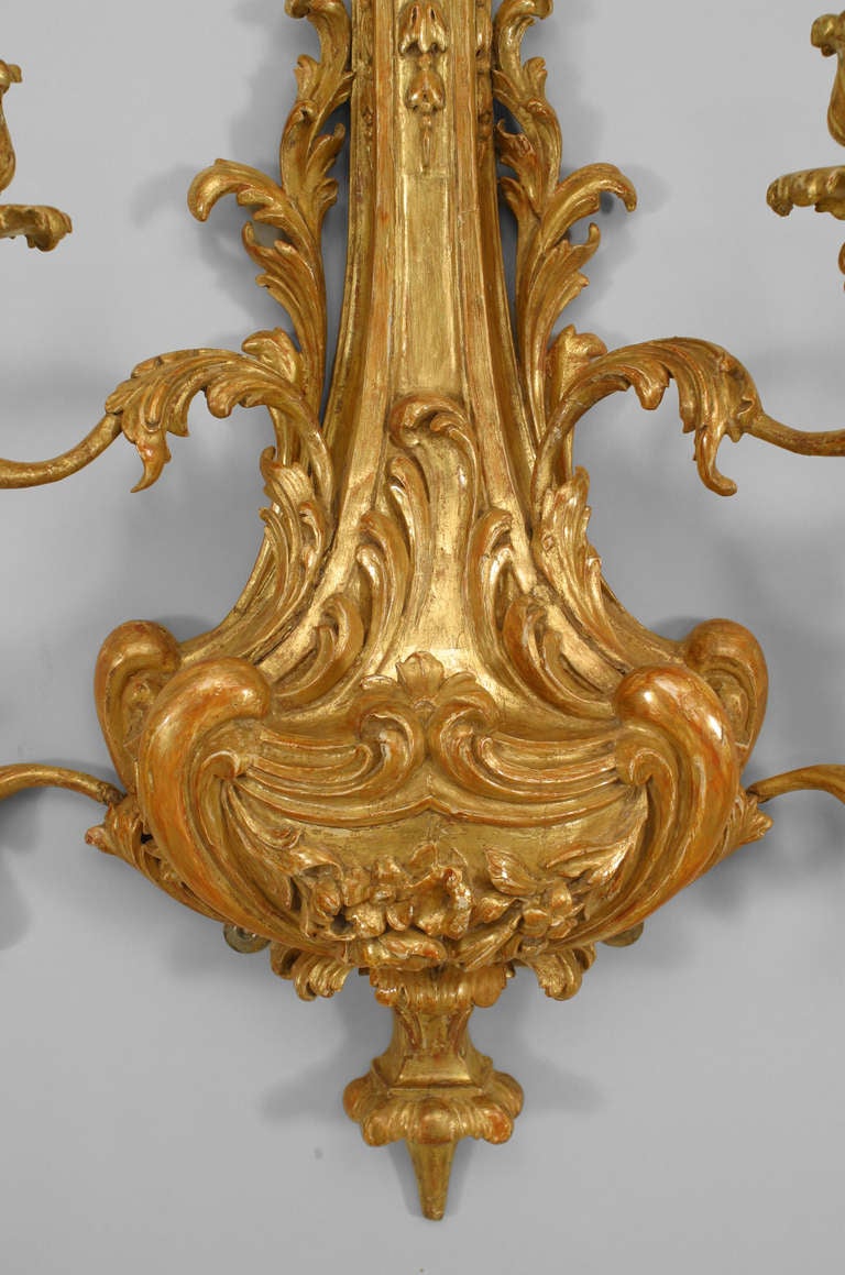 Pair of English Georgian Style Giltwood Floral Kettle Wall Sconces In Excellent Condition For Sale In New York, NY