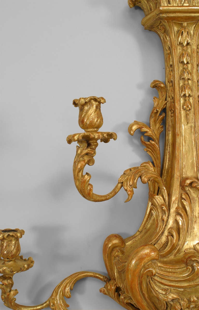 19th Century Pair of English Georgian Style Giltwood Floral Kettle Wall Sconces For Sale