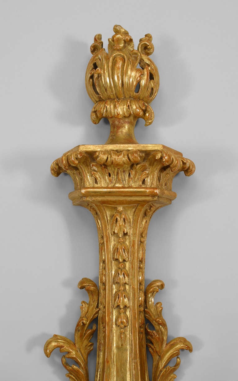 Wood Pair of English Georgian Style Giltwood Floral Kettle Wall Sconces For Sale