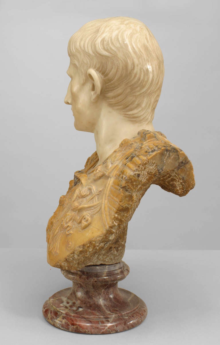 Late eighteenth century Italian Neoclassic bust inspired by the ancient Roman sculpture 