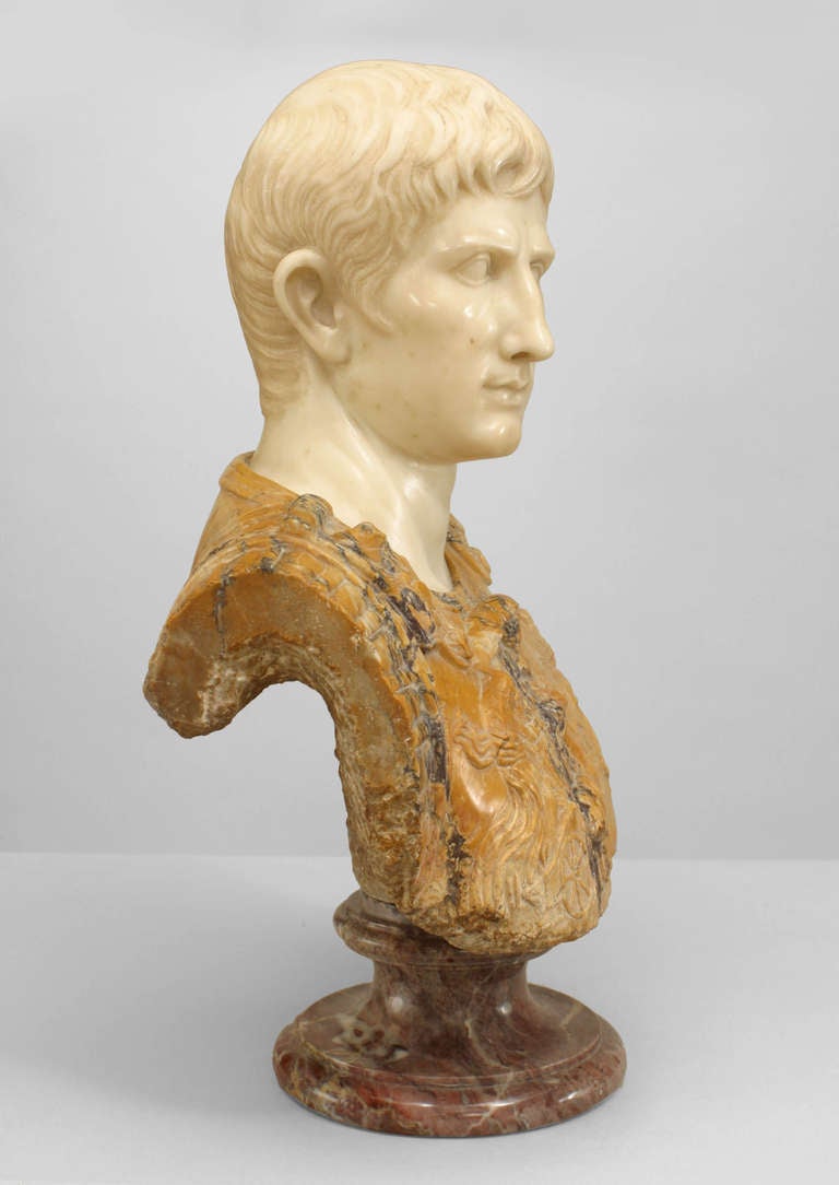 Italian Neoclassic Augustus of Primaporta Bust In Excellent Condition In New York, NY