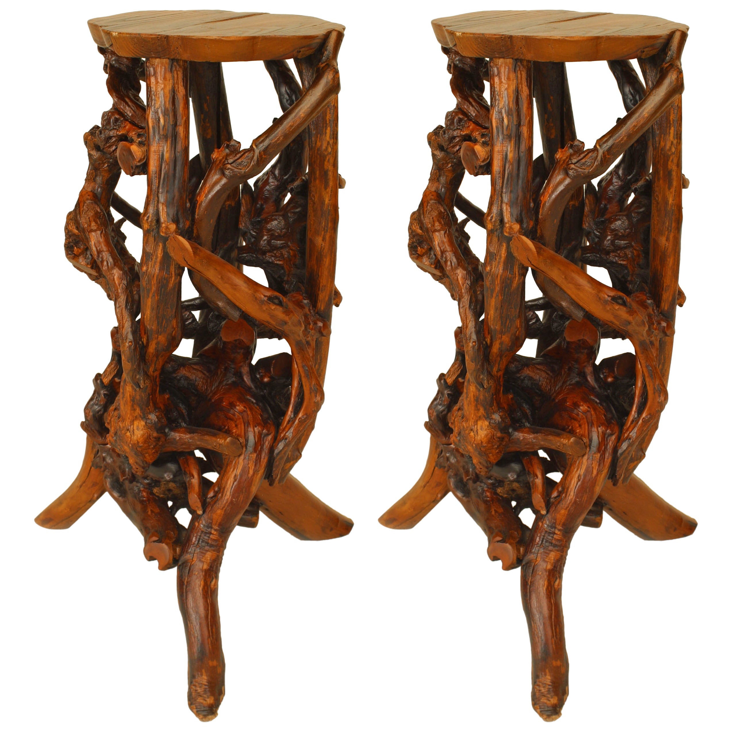 Pair of Rustic Adirondack Root Pedestals