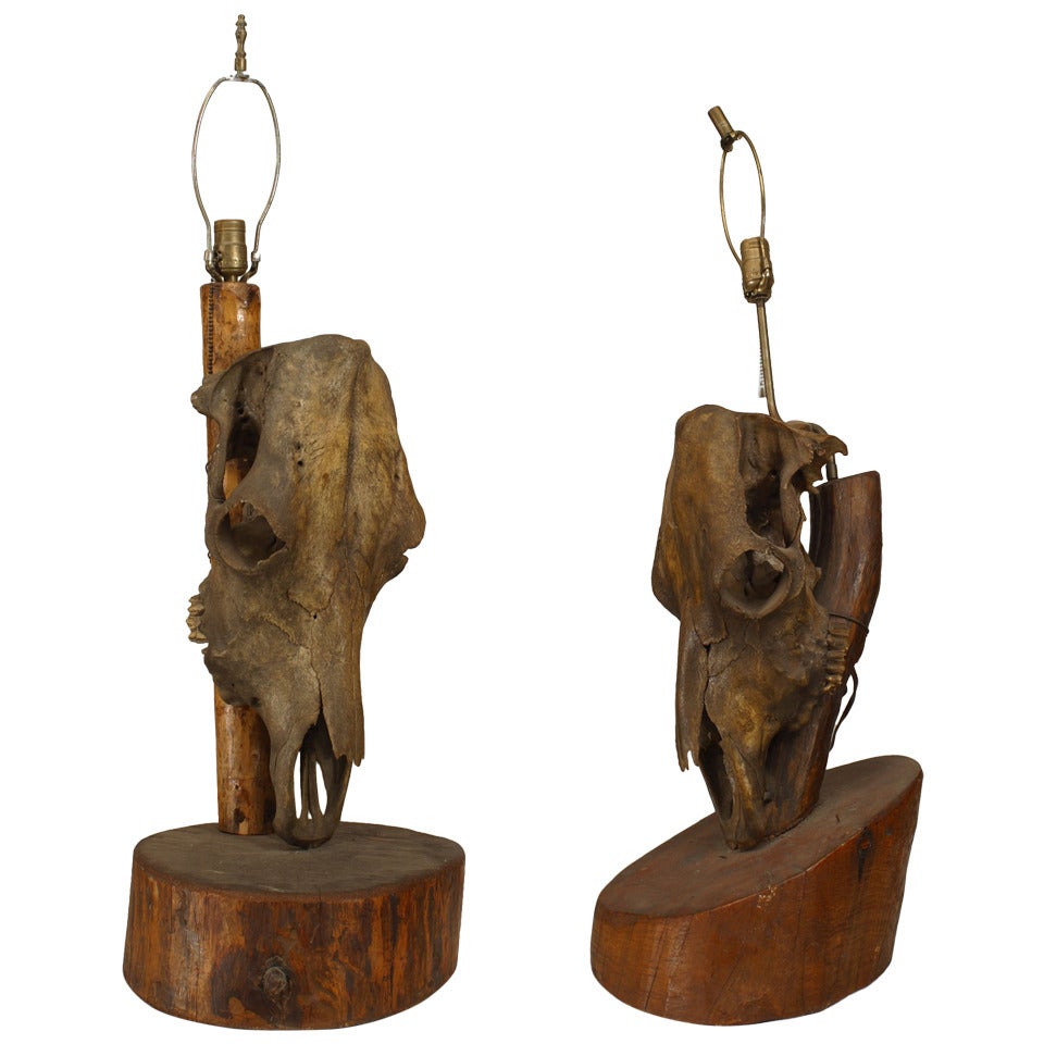 Pair of American Rustic Horse Skull Table Lamps For Sale