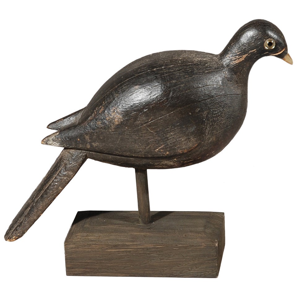 Early 19th Century Decoy Pigeon For Sale