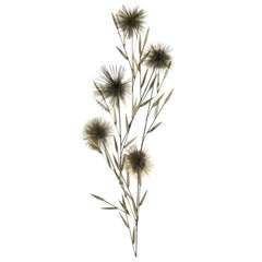 1979 Curtis Jere "Pom Pom" Wall Sculpture